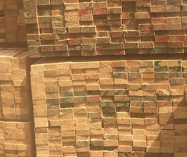 博望新西兰进口松木